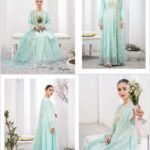 Ibtedaa by Malala Fatima Heavy Embroidered Lawn Collection D-10 Nagma