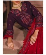 ESHAISHA NEPS KARANDI  WINTER COLLECTION EA-LW-5569 - Image 2